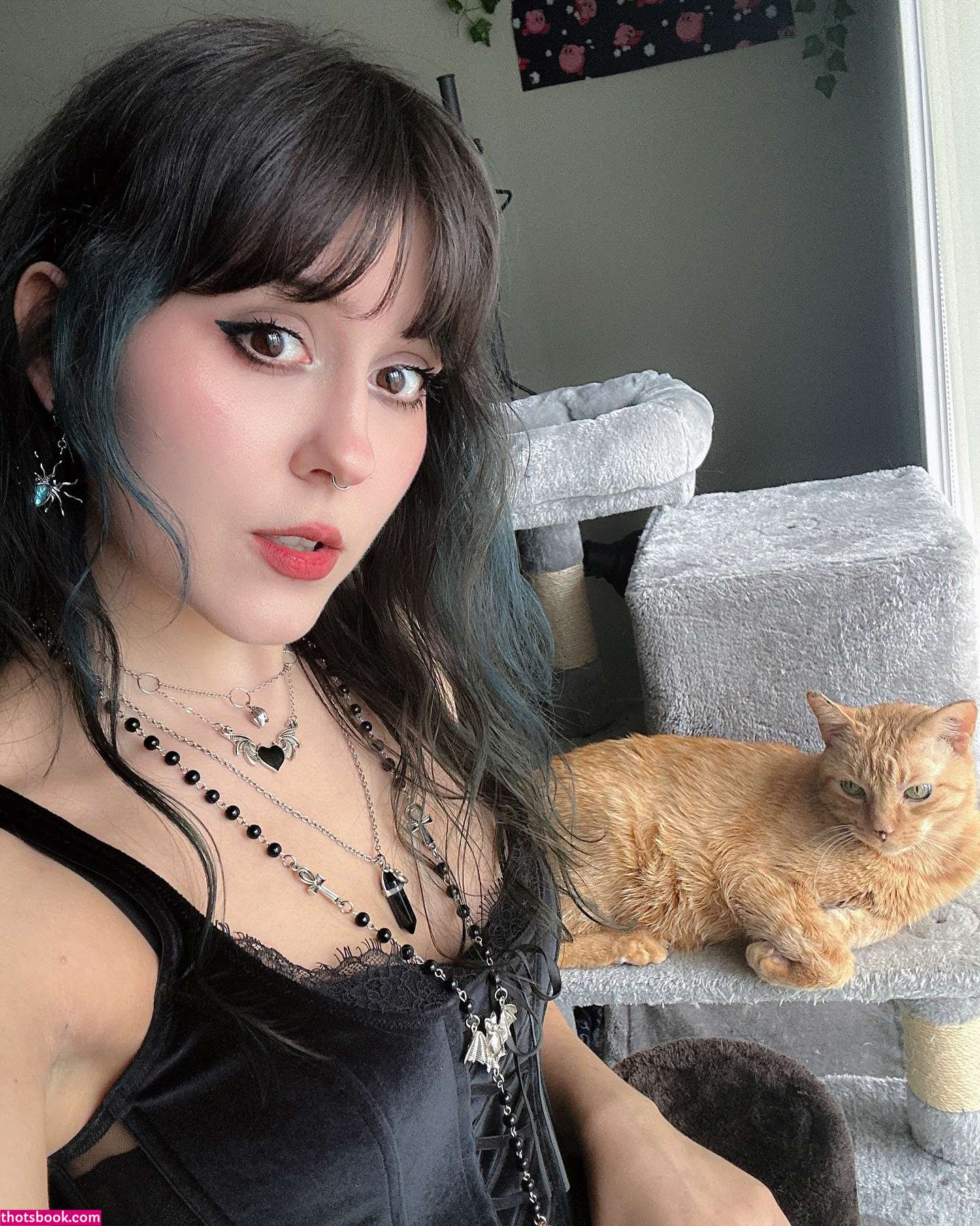 Rottenpapi Photo #159