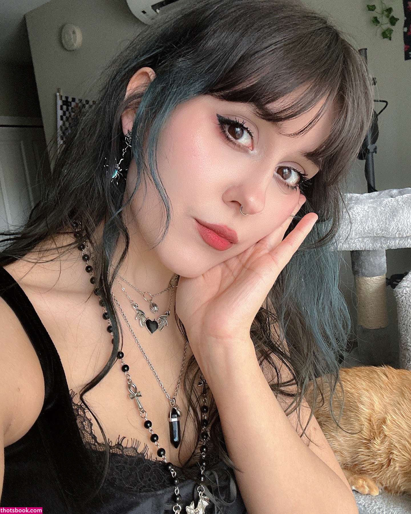 Rottenpapi Photo #161