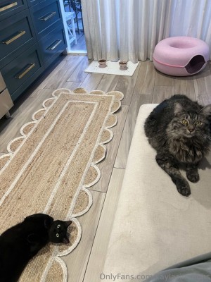 Kayla Simmons Photo #365