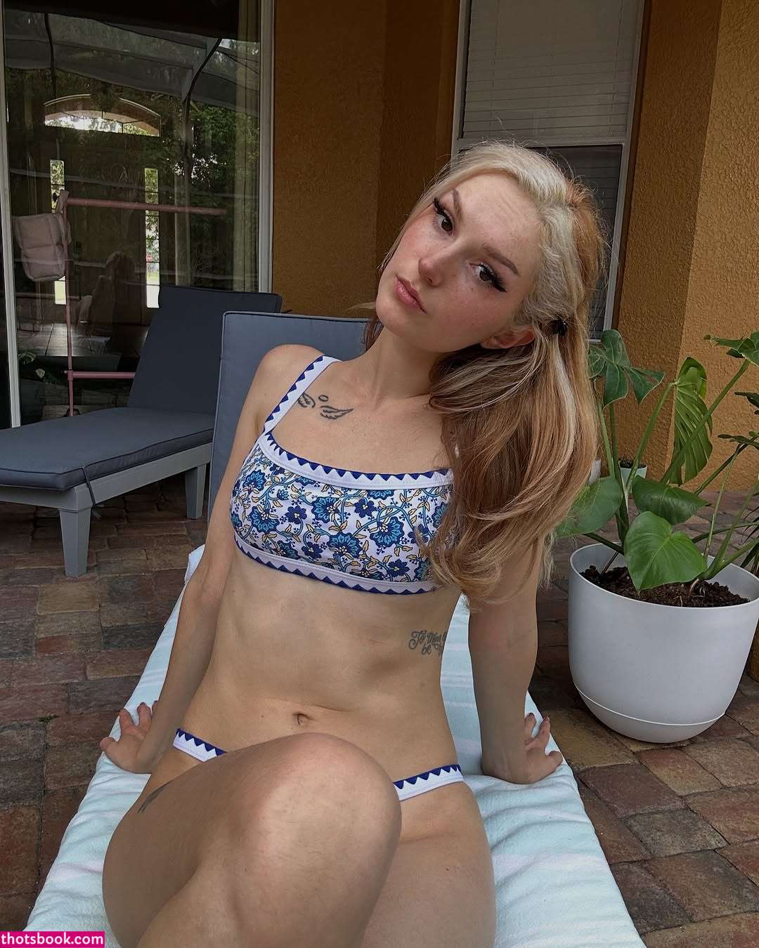 Busy B ASMR Photo #7