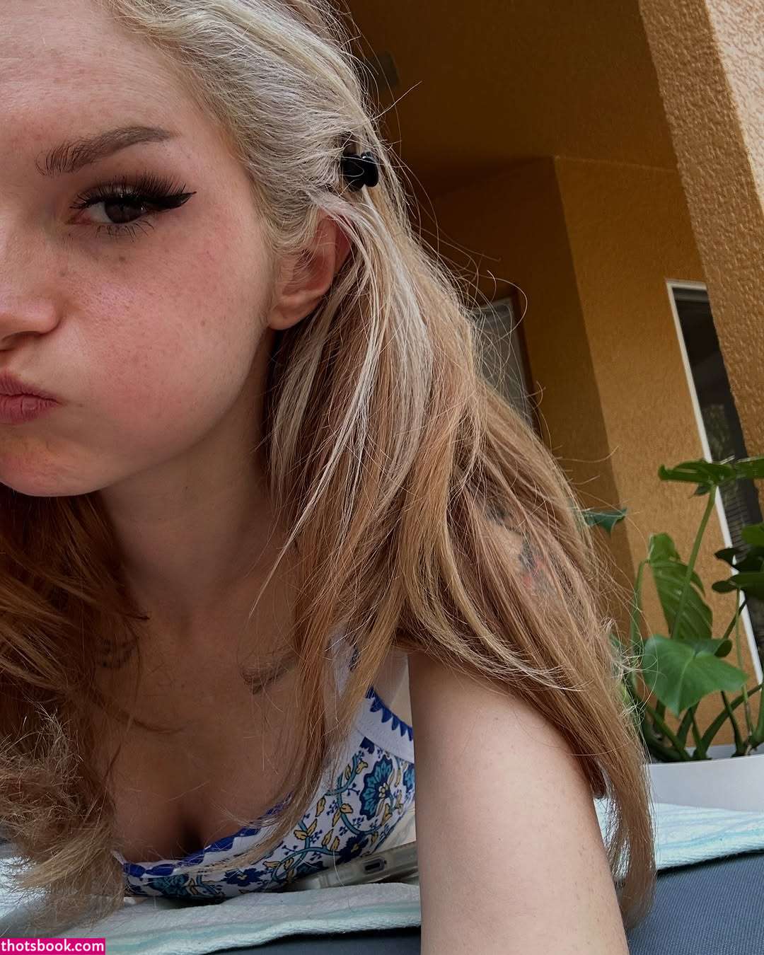 Busy B ASMR Photo #8