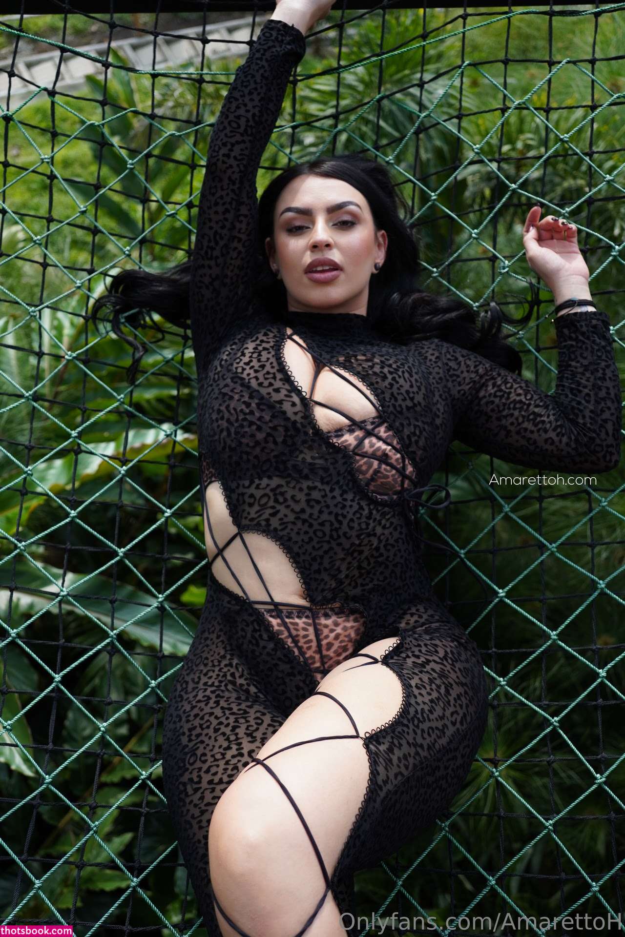 Amaretto Hammer Photo #918