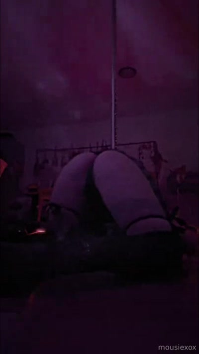 Mousie Video #66