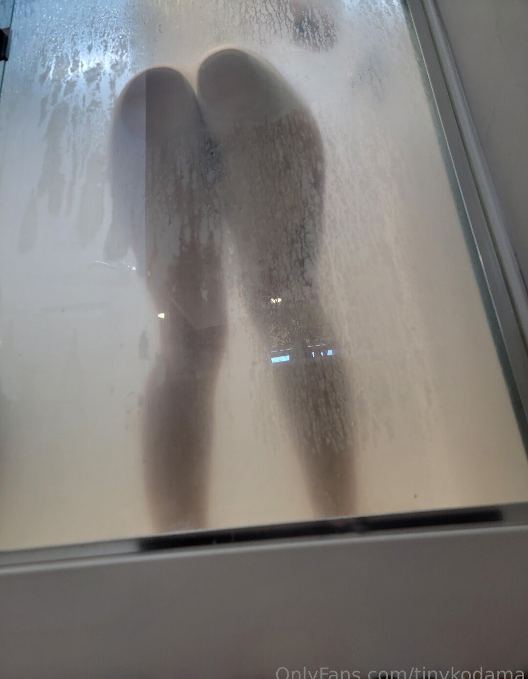 tinykodama Photo #7