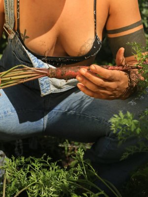 Soleyfaye Photo #2