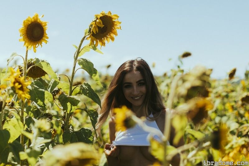 Creator Photo #17456