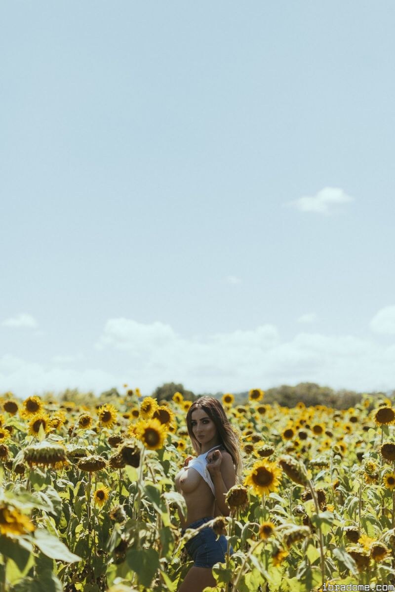 Creator Photo #17459