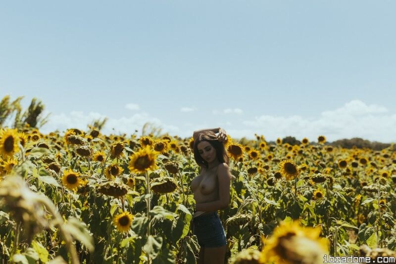 Creator Photo #17464