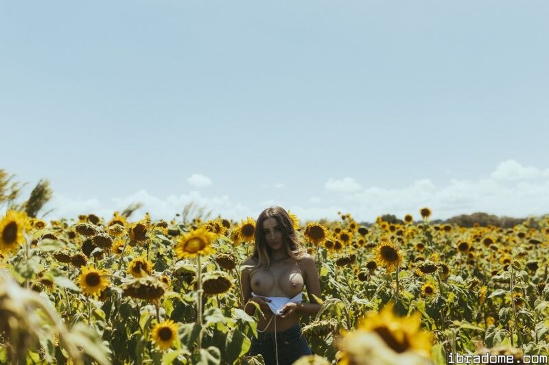 Creator Photo #17479