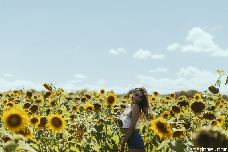 Creator Photo #17482