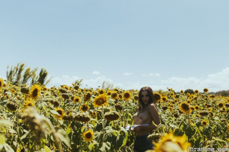 Creator Photo #17490