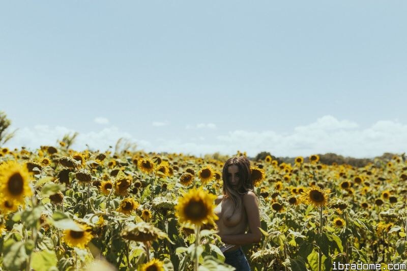 Creator Photo #17493