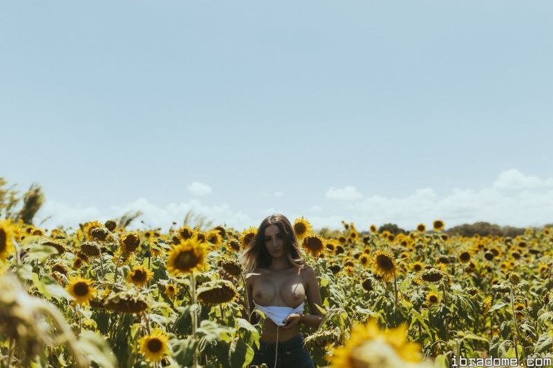 Creator Photo #17497