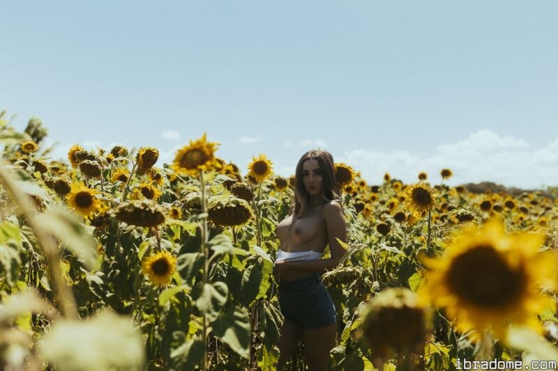 Creator Photo #17499