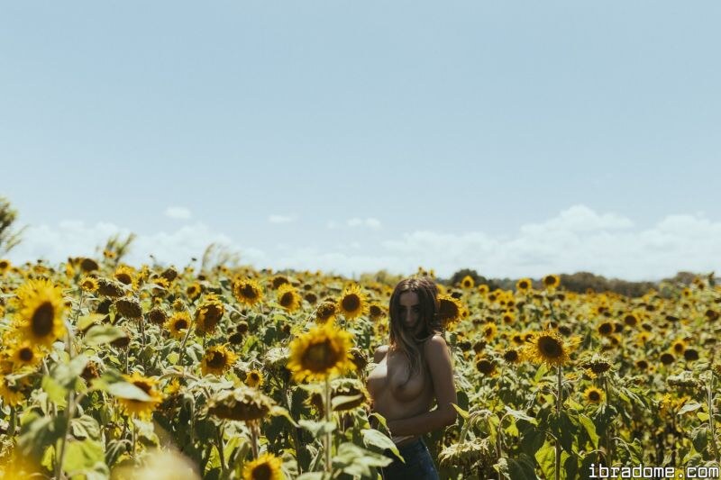 Creator Photo #17500