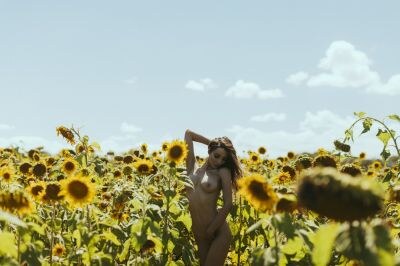 Creator Photo #17489