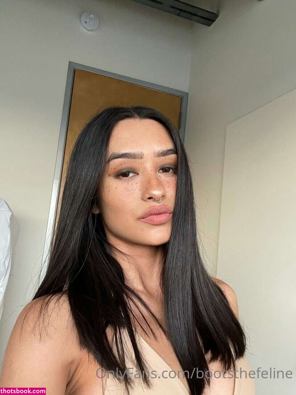 Bootsthefeline Photo #5