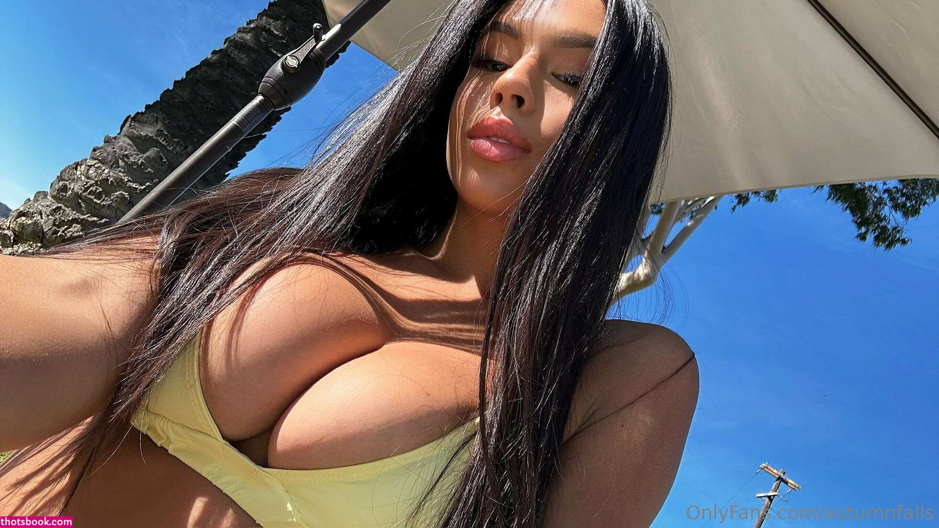 Autumn Falls Photo #230