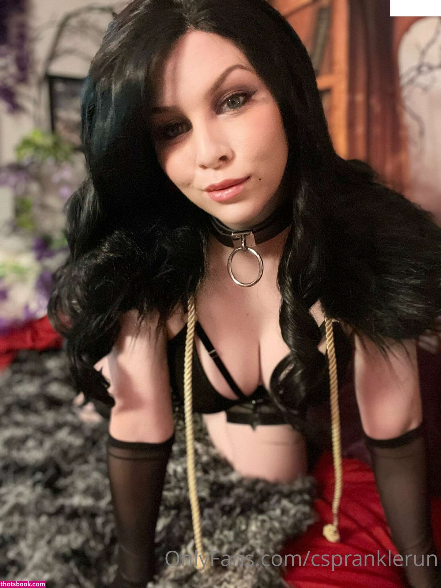 Cspranklerun Photo #185