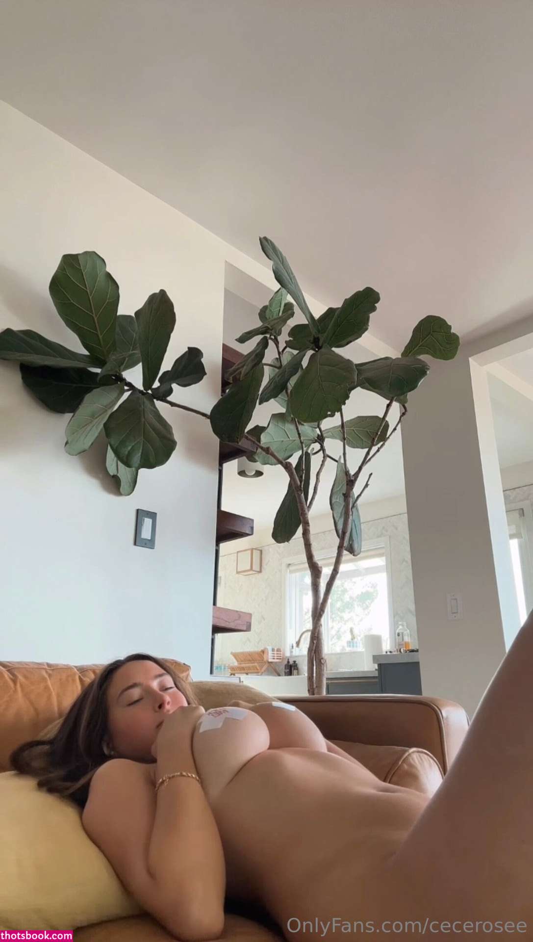 Cece Rose Photo #347