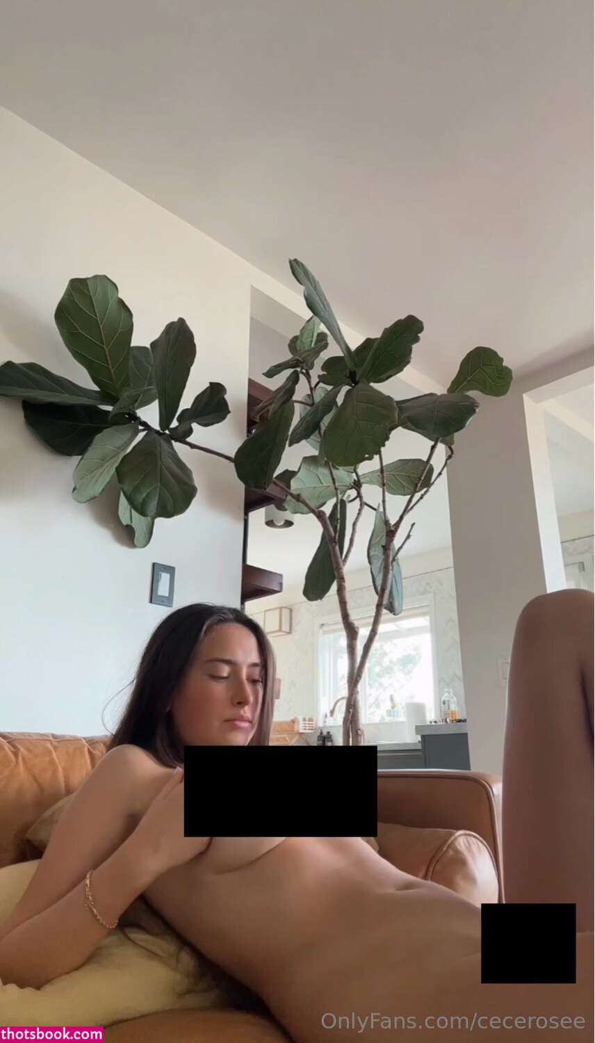 Cece Rose Photo #350