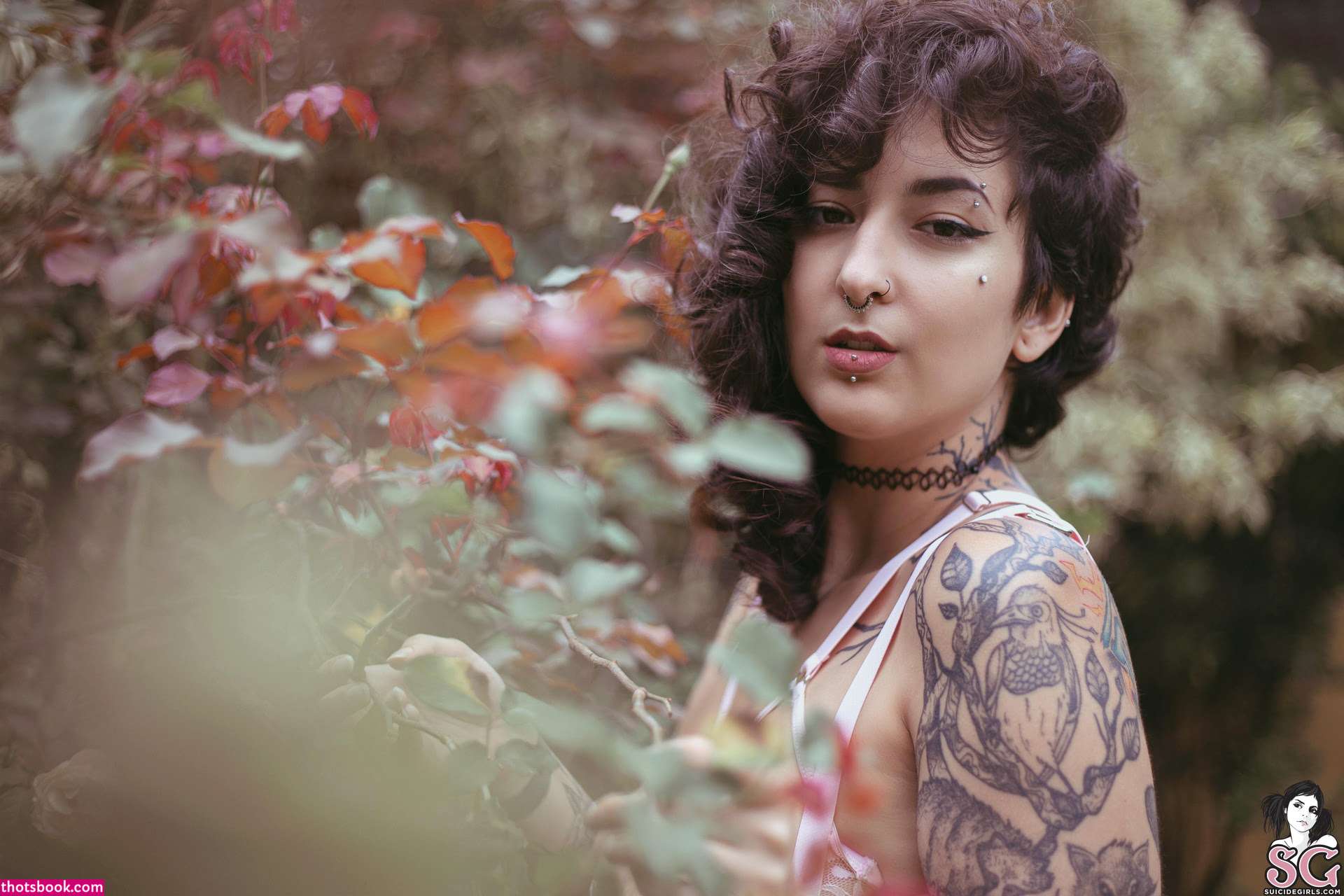 Julha Suicide Photo #59