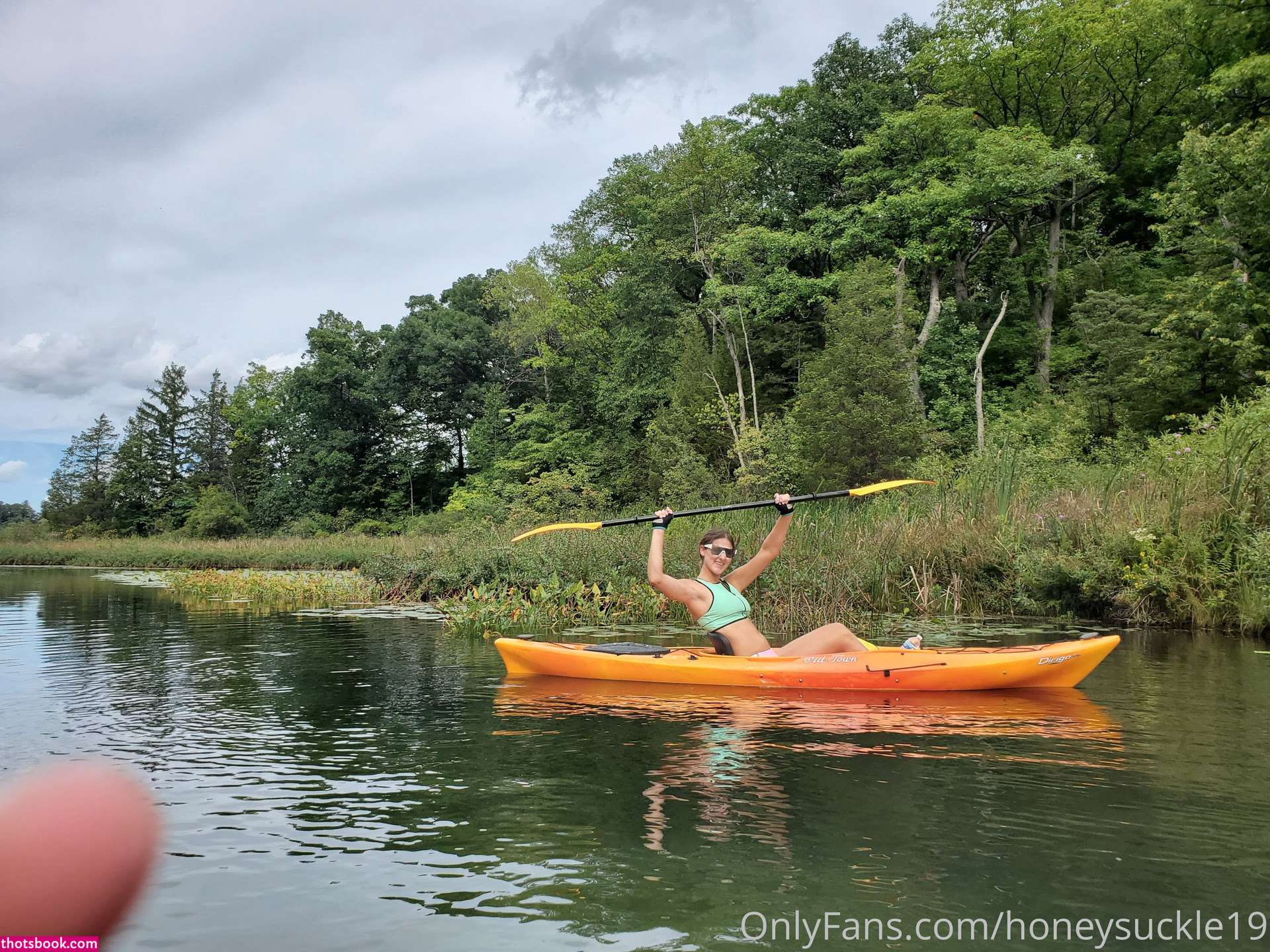 19honeysuckle Photo #188