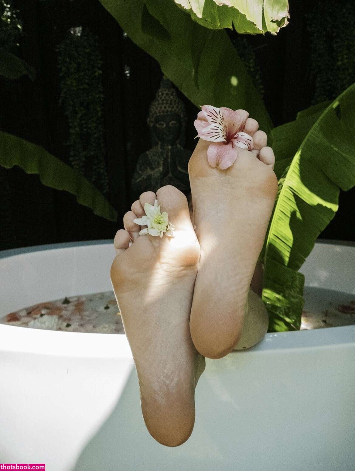 Ayaksmuhs Etak Photo #95