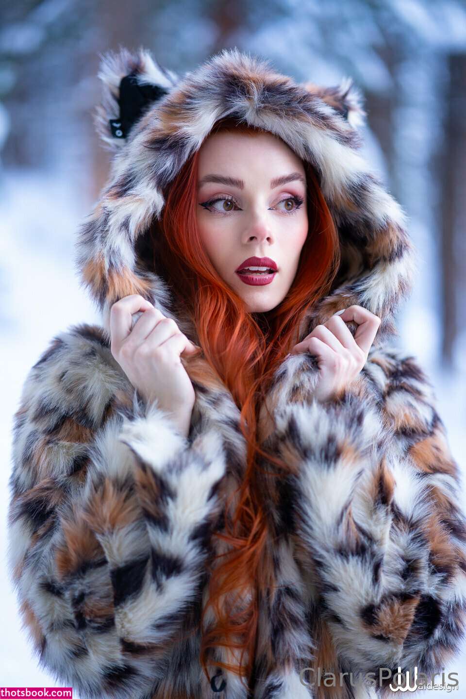 Clarus Polaris Photo #422