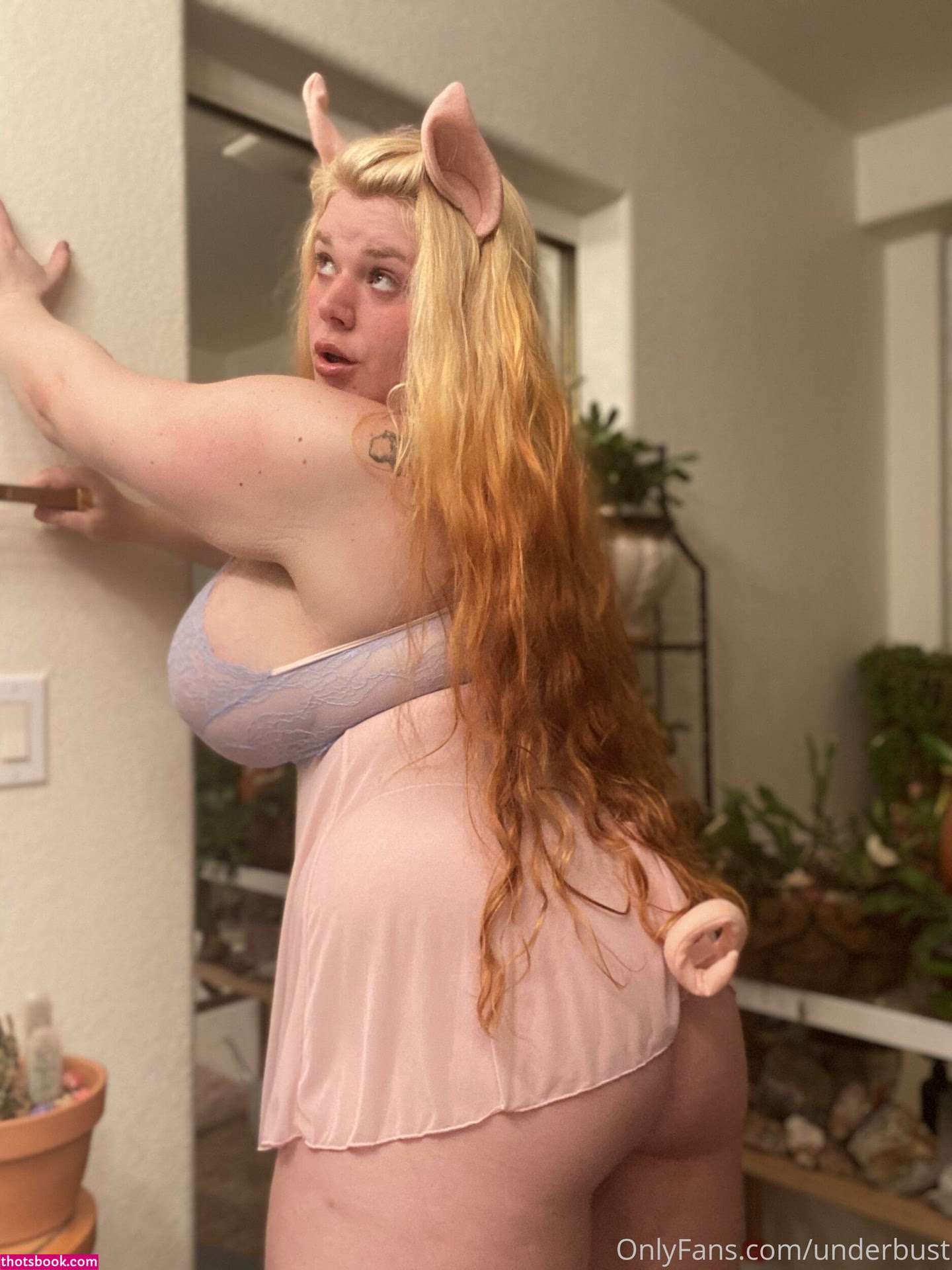 Penny Underbust Photo #221