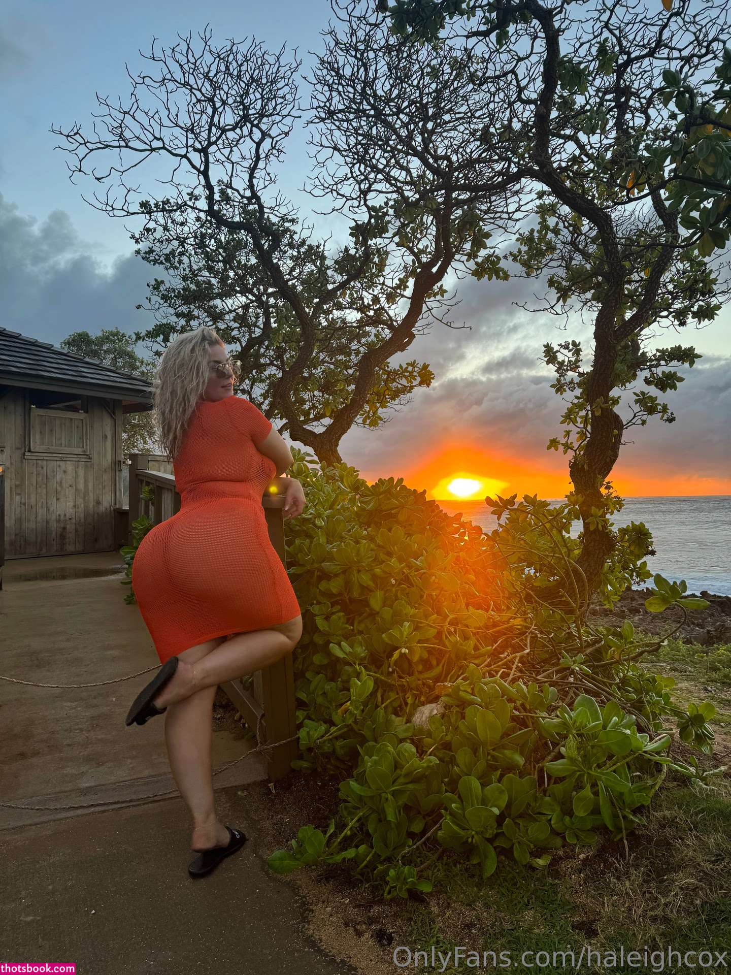 Haleigh Cox Photo #285