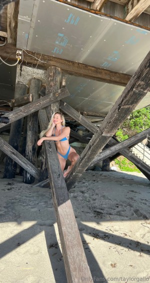 Taylor Gallo Photo #192