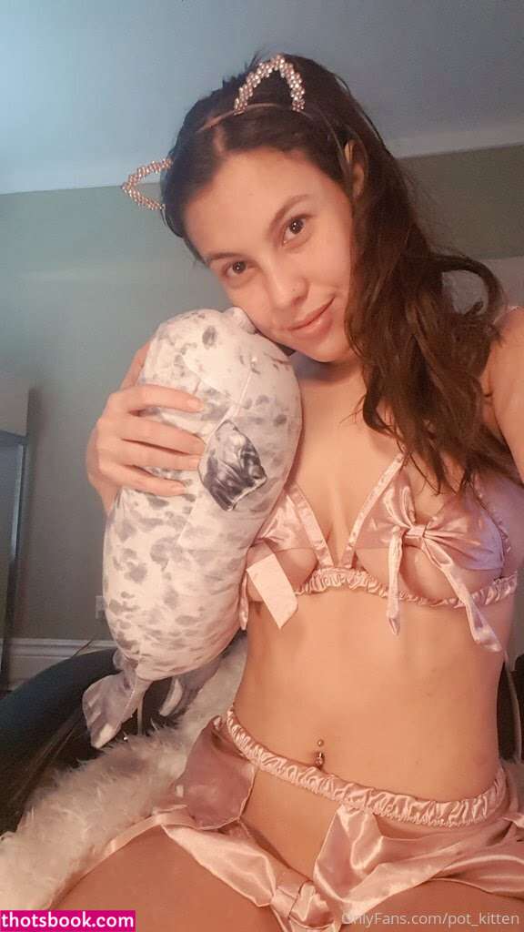 Pot kitten Photo #33