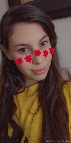 Pot kitten Photo #34