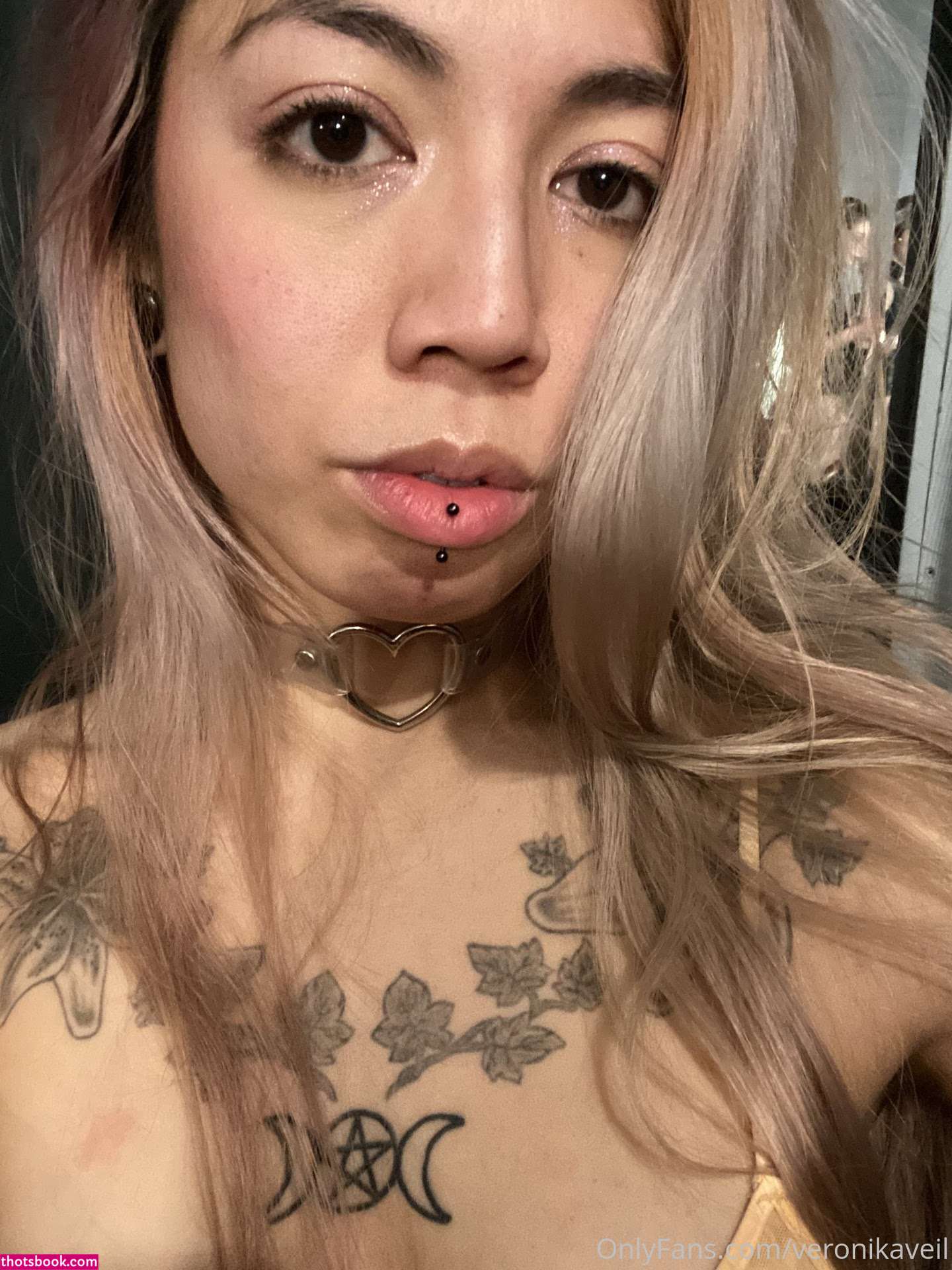 xveronikaxveilx Photo #28