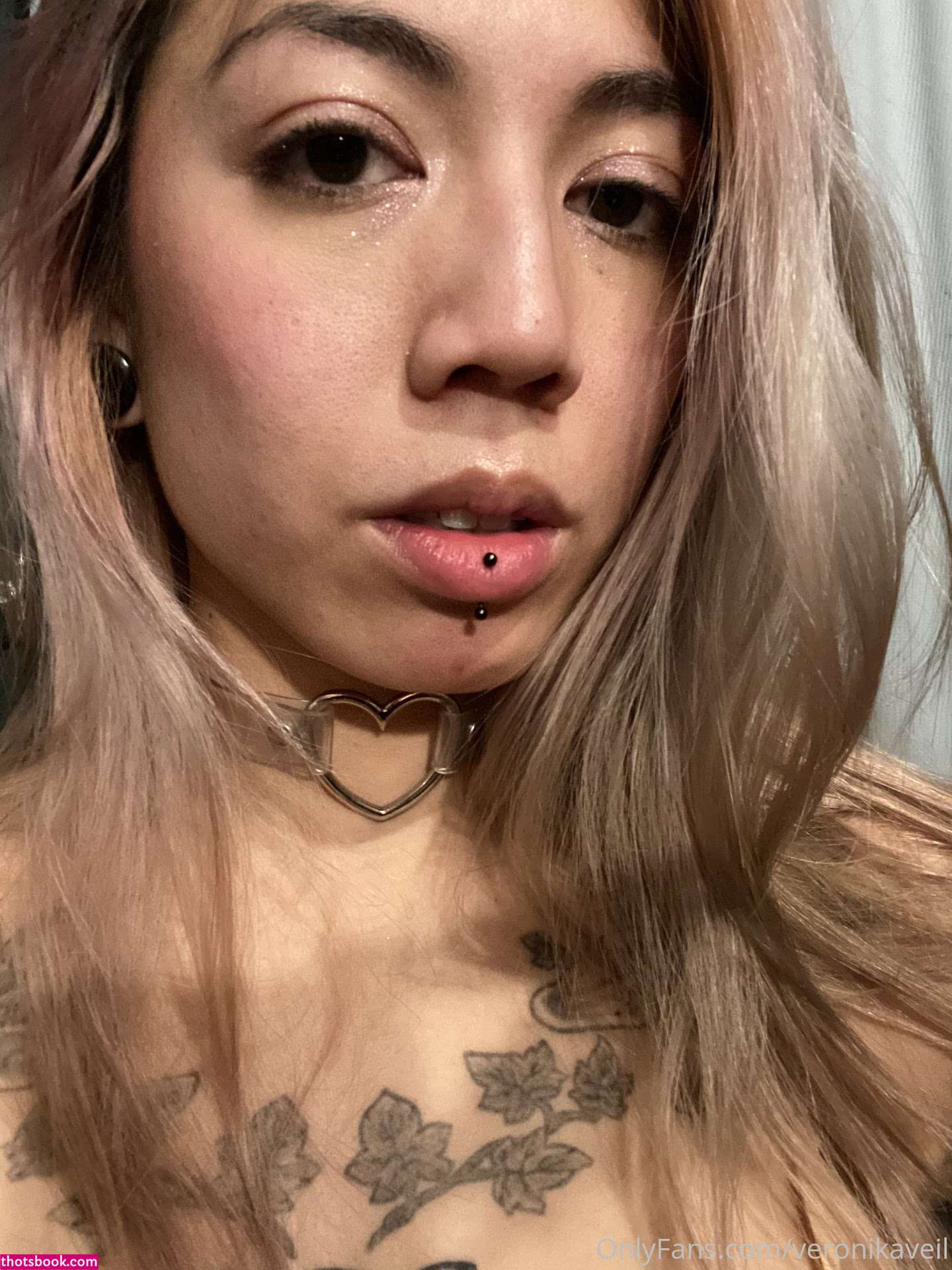 xveronikaxveilx Photo #29