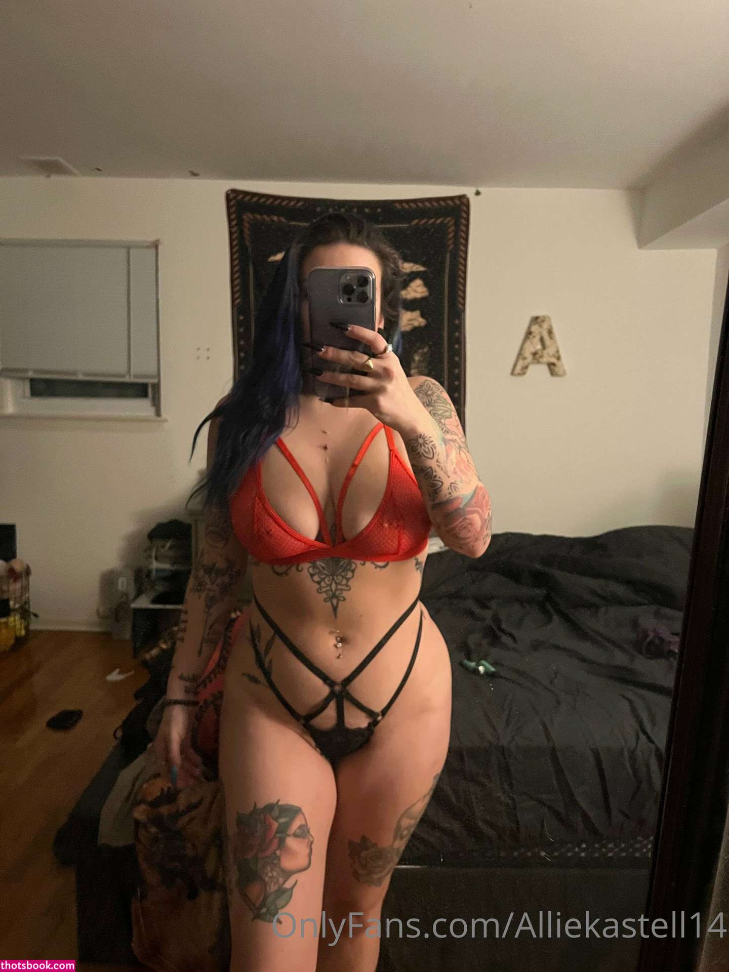 Alliekastell Photo #40