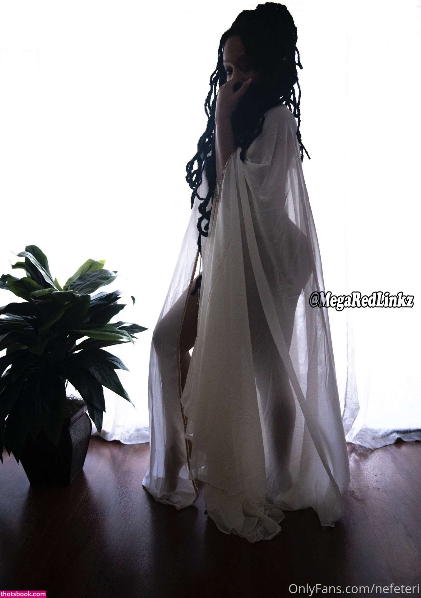 Nerissa Nefeteri Photo #27