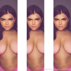 Black dahlia47 Photo #11