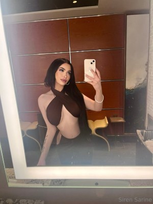 Sirensarina Photo #13