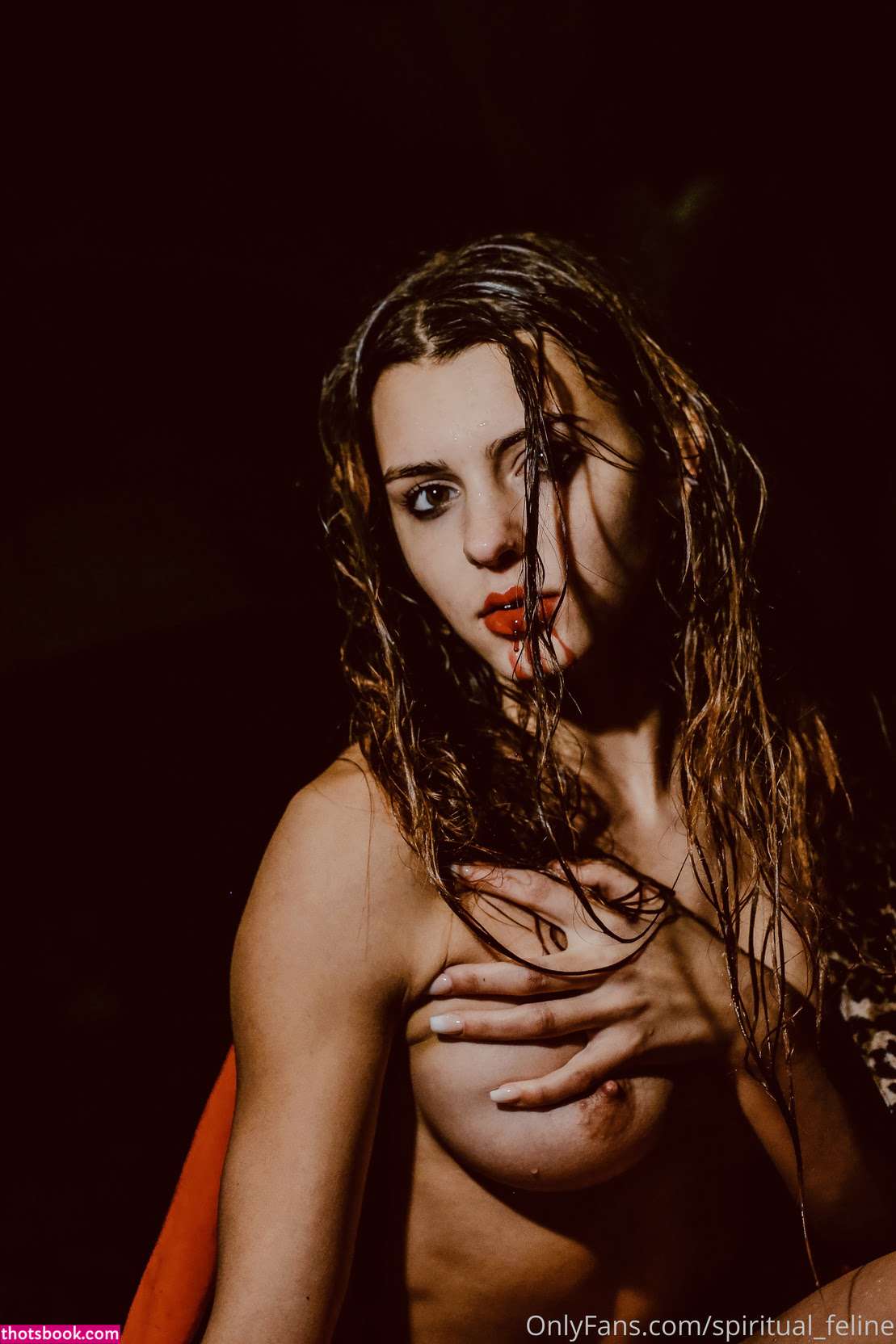 Spiritual Feline Photo #17