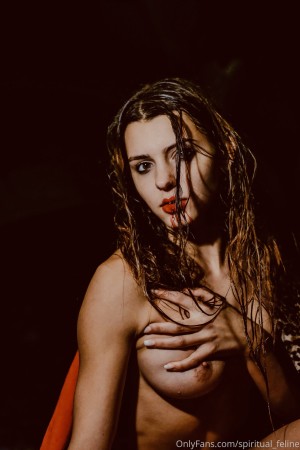 Spiritual Feline Photo #17