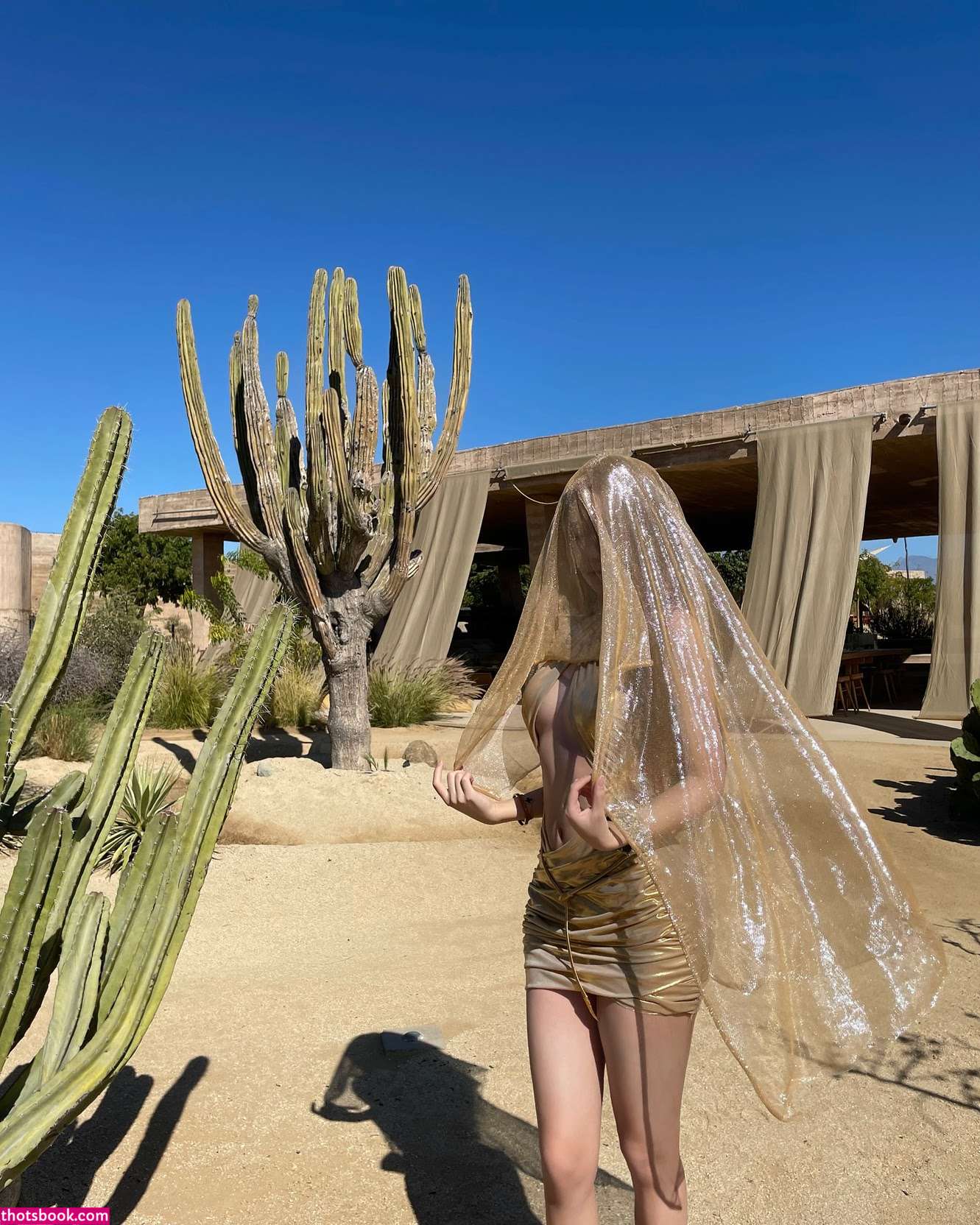 hannahxu567 Photo #10