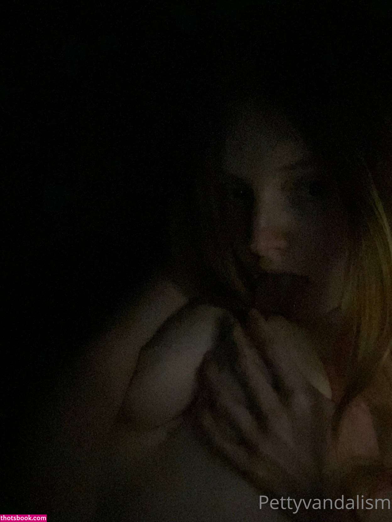 pettyvandalism Photo #4