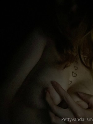 pettyvandalism Photo #5