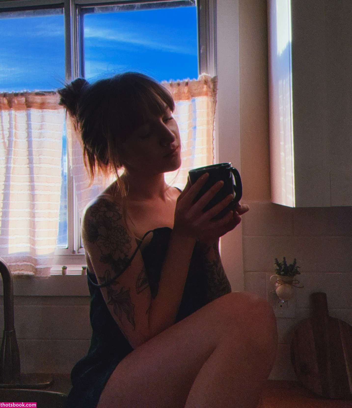 Sarracicero Photo #19