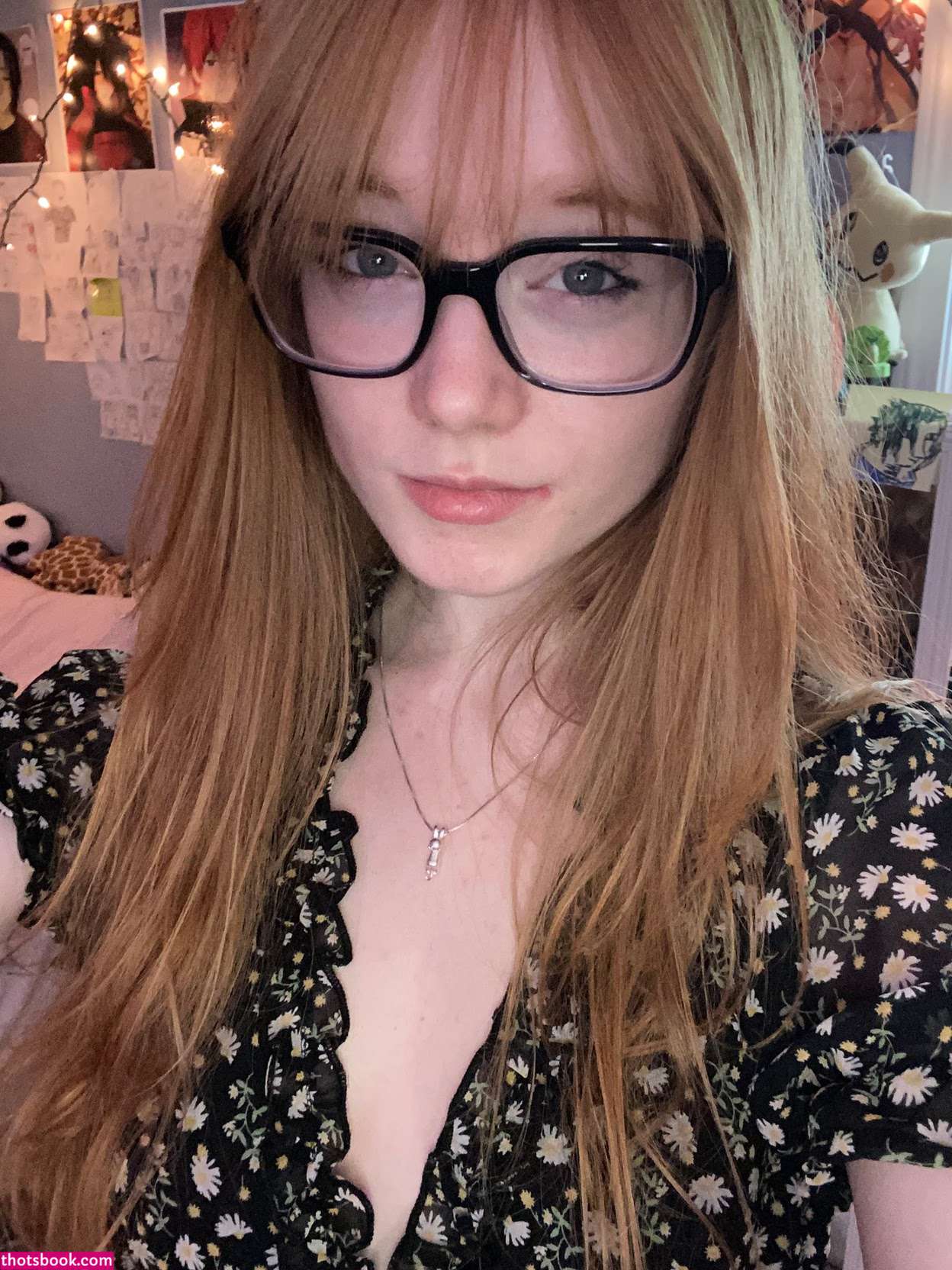 widecatface Photo #16