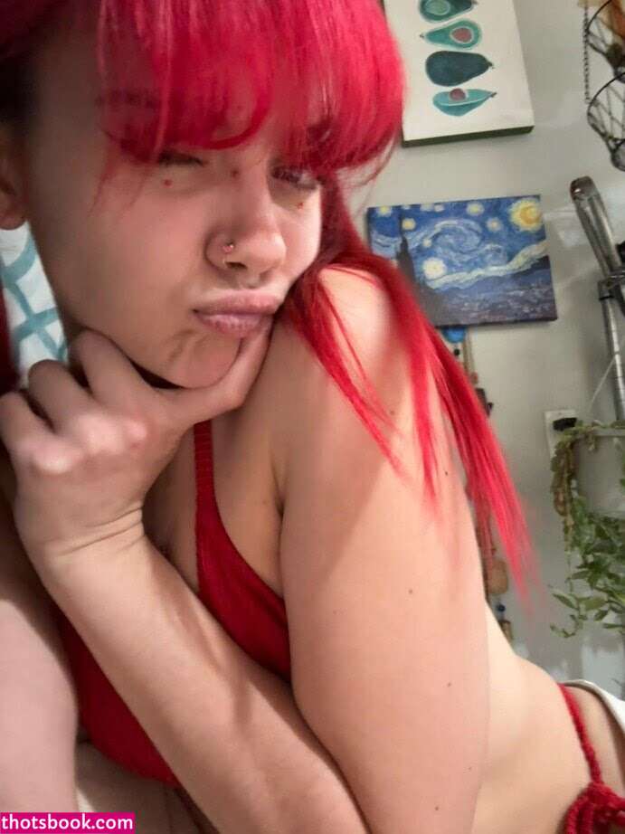 Creator Photo #1940293