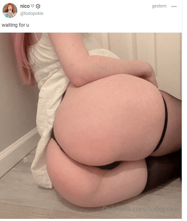 Todopokie Photo #118