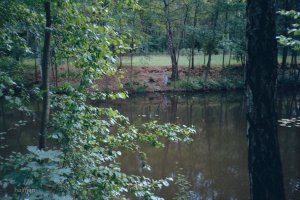 Angela Halee Photo #183